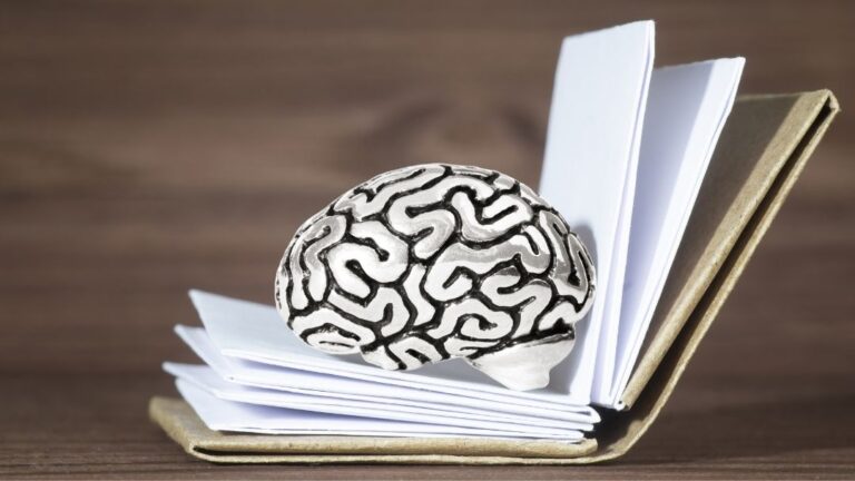 Lectura y comprensión: claves para potenciar el aprendizaje y la creatividad de nuestros niños